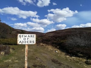 beware of adders