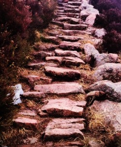 steps down from the tor