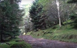 exiting Clachnaben car park