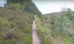 Clachnaben plantation trail