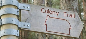 Bennachie Colony Trail