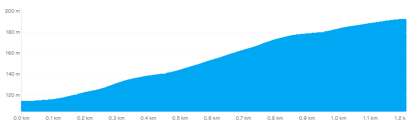 My Lord's Throat Profile