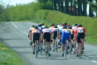 road race bunch from the rear