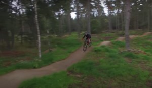 Spikey Hedgehog Trail